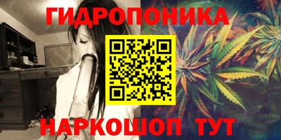 стаф Нальчик