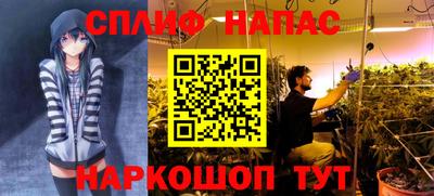 спиды Можга