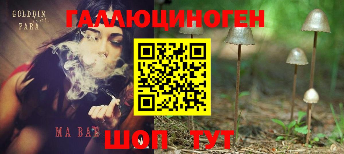 Псилоцибиновые грибы GOLDEN TEACHER  Вход с VPN  Тихвин  Галлюциногенные грибы Magic Shrooms 