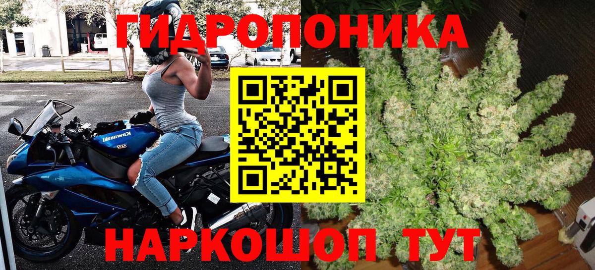 Бошки марихуана план  Канабис ГИДРОПОН  Тихвин  Вход с VPN  Каннабис гибрид 